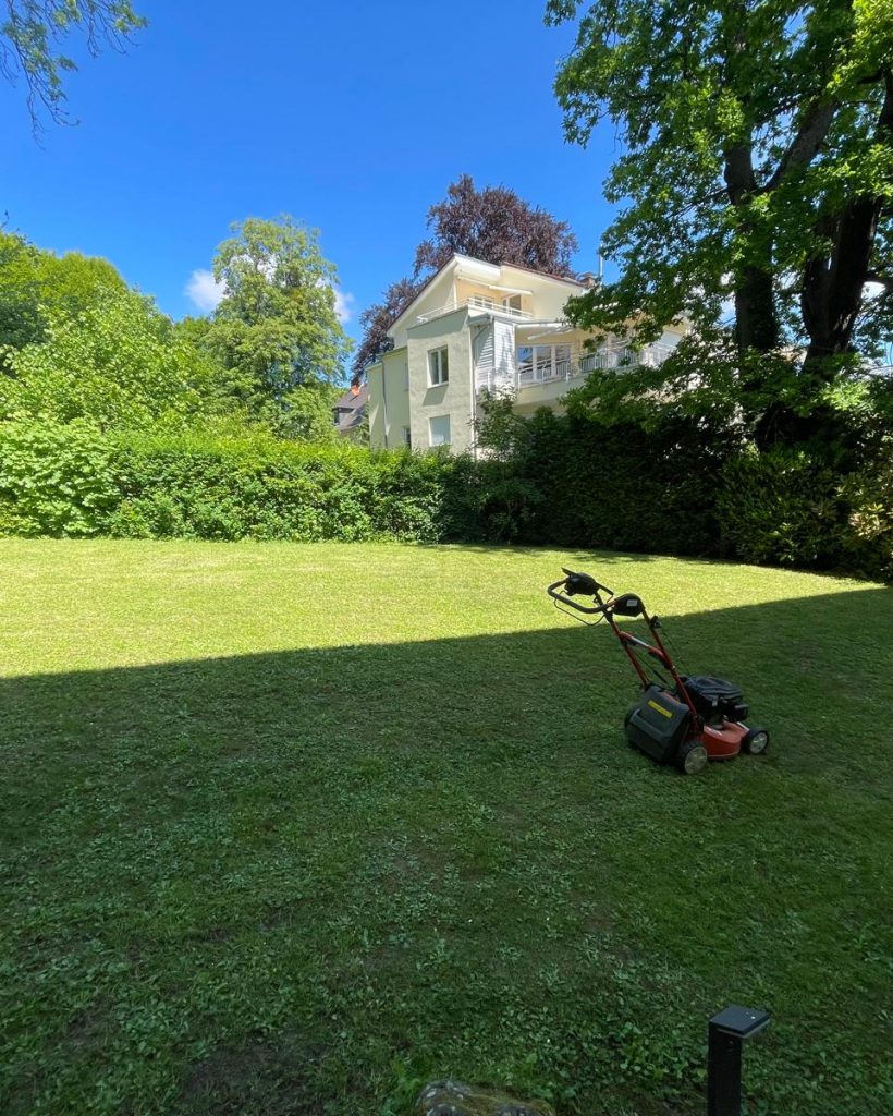 WhatsApp Bild 2025-11-08 um 08.50.10_d94cc586